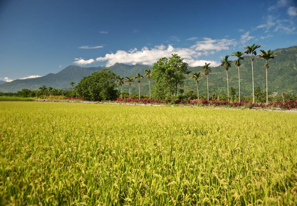 Hualien Demo Farm